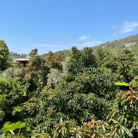Сasa de vacaciones Avohomes Fethiye